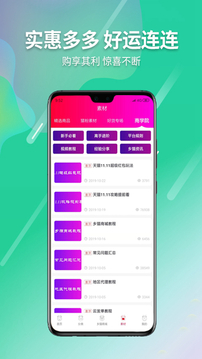 乡猫
